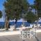 B&B Dommilio