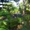 Mount View Villa Resort Mirissa
