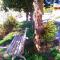 Villa Ayê Socorro SP - Pousada Petfriendly