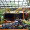 SECRET GARDEN Hostel - WANDERNEST Cat Ba