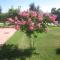 Al Casale B&B