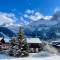 Swiss Alps Lodge
