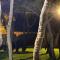 Camp Hogo Kavango