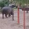 Camp Hogo Kavango