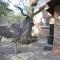 Guest House Milkwood