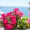 Riva Luxury Suites