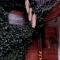 chalet naturel