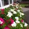 Sunninghill Hotel