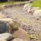 Sneem River Lodge Bed & Breakfast