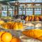 Three Corners Equinox Beach Resort