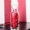 Il Giglio Rosso B&B