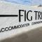 Fig Tree Guesthouse