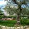 Villa Maria