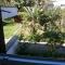 Apartman Lovran