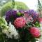 Haugs Heimatliebe