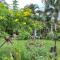 The Green Resort