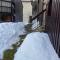 Appartement chalet