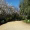 The Dove Cote