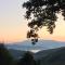 Misty Peak