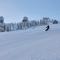 Berghotel Mooshütte am Arber, Naturidyll auf 950m