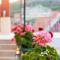 Apartments Lovori-Lorbe