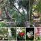 Om'Sleeping B&B - Laudun
