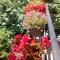 Filip Apartments Ohrid