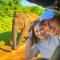 Elephant Orphanage Edge Hotel