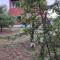 El Jardin de Sauce