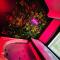 Nid ange love room vaucluse