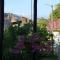 Palomino Breeze Hostal