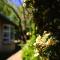 Upper House Boutique Guesthouse