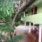 Jayaru Guest House