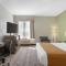 Best Western Plus North Houston Inn & Suites