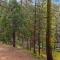 Cabin #10