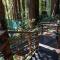 Artists Perch: Modern Redwood Retreat with Outdoor Sauna Artists Perch: Modern Redwood Retreat with Outdoor Sauna