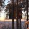 Treehotel