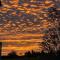 B&B De Rentmeesterhoeve