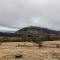 Off-Grid Farm Stay with Scenic Views