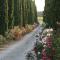 Agriturismo Tra gli Ulivi, Chiappini Winery