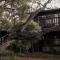 Bimbi Forest Eco Lodge - Denmark