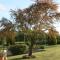 Apartment Borna