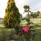 Apartment Borna