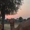raju shing desert safari
