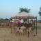 raju shing desert safari