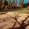 Domaine Plan des Devens