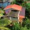 Anthurium Apartment