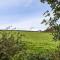 Field View