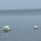 Seaside Serenity in Faldsled-By Traum