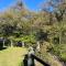 Small Green Views